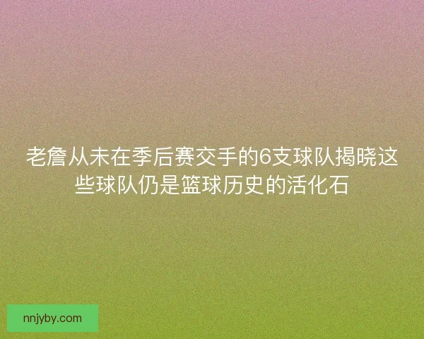 老詹从未在季后赛交手的6支球队揭晓这些球队仍是篮球历史的活化石